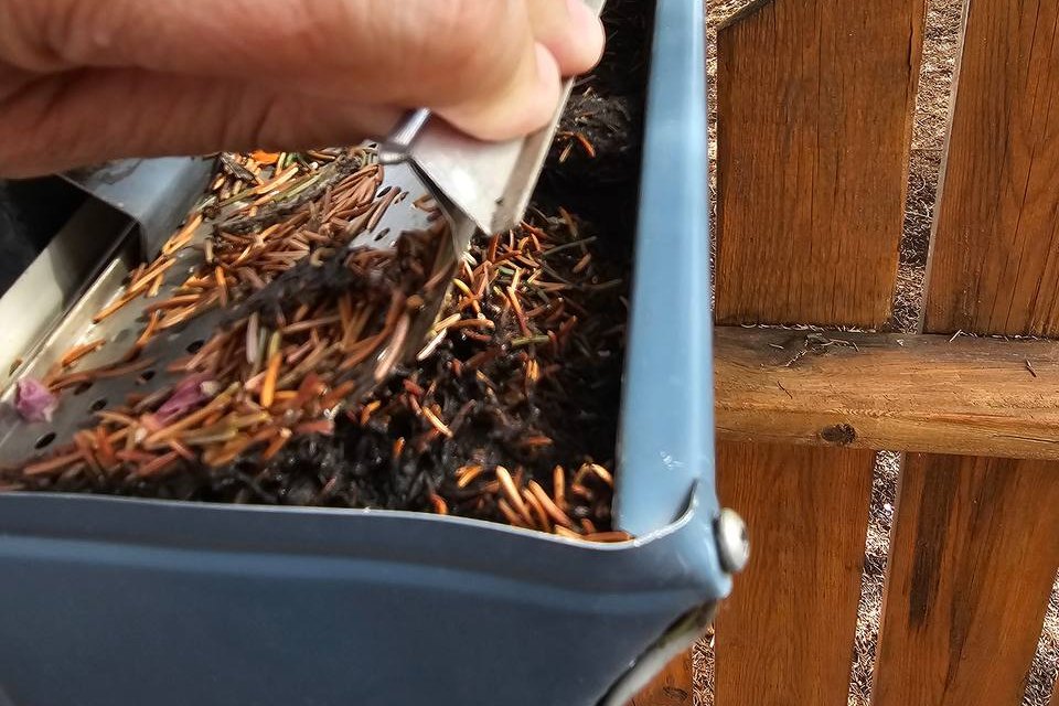 Spruce needles packed on top of and underneath an older perforated gutter guard